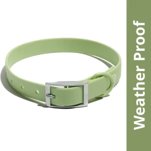 Furry & Co Weatherproof Collar for Dogs (Matcha Latte)