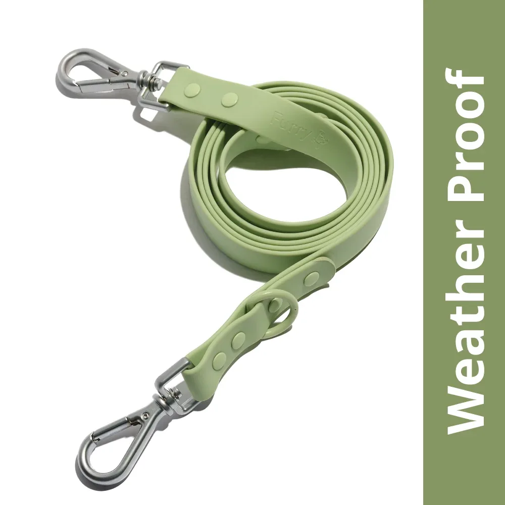 Furry & Co Weatherproof Leash for Dogs (Matcha Latte)