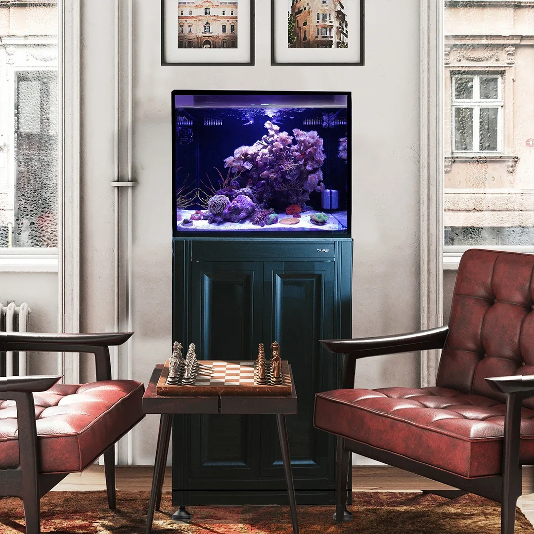 Fusion Pro 2 40 Gallon AIO Lagoon Aquarium w/ BLACK APS Stand - Innovative Marine