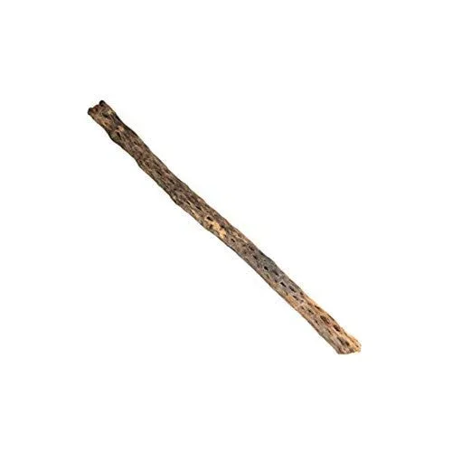 Galapagos Cactus Skeleton Cholla Wood Branch Brown 36 in - Image 2