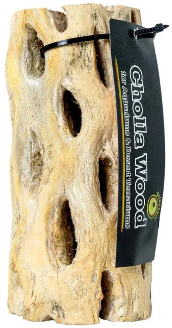 Galapagos Cactus Skeleton Cholla Wood Brown 12 in - Image 2