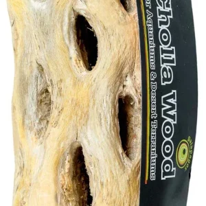 Galapagos Cactus Skeleton Cholla Wood Brown 12 in