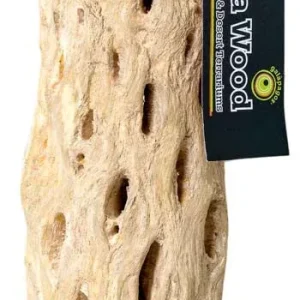 Galapagos Cactus Skeleton Cholla Wood Brown 24 in