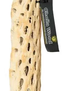 Galapagos Cactus Skeleton Cholla Wood Brown 36 in