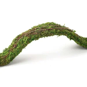 Galapagos Flexible Bridge Terrarium Ornament Fresh Green 2 ft