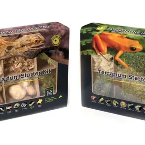 Galapagos Humid Environment Terrarium Starter Kit
