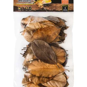 Galapagos Magnolia Leaves for Tropical & Bioactive Habitats Brown 4 qt