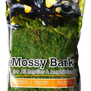 Galapagos Moss Basking Bark Green, Brown 12 in - 15 in