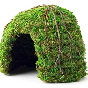 Galapagos Mossy Dome Terrarium Hideaway Fresh Green 6 in