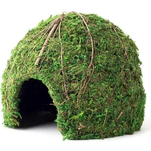 Galapagos Mossy Dome Terrarium Hideaway Fresh Green 9 in