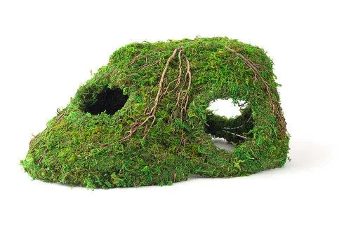 Galapagos Sapa Corner Hide Terrarium Hideaway Fresh Green 10 in - Image 2