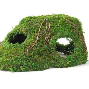 Galapagos Sapa Corner Hide Terrarium Hideaway Fresh Green 10 in