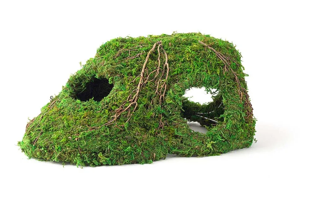 Galapagos Sapa Corner Hide Terrarium Hideaway Fresh Green 10 in