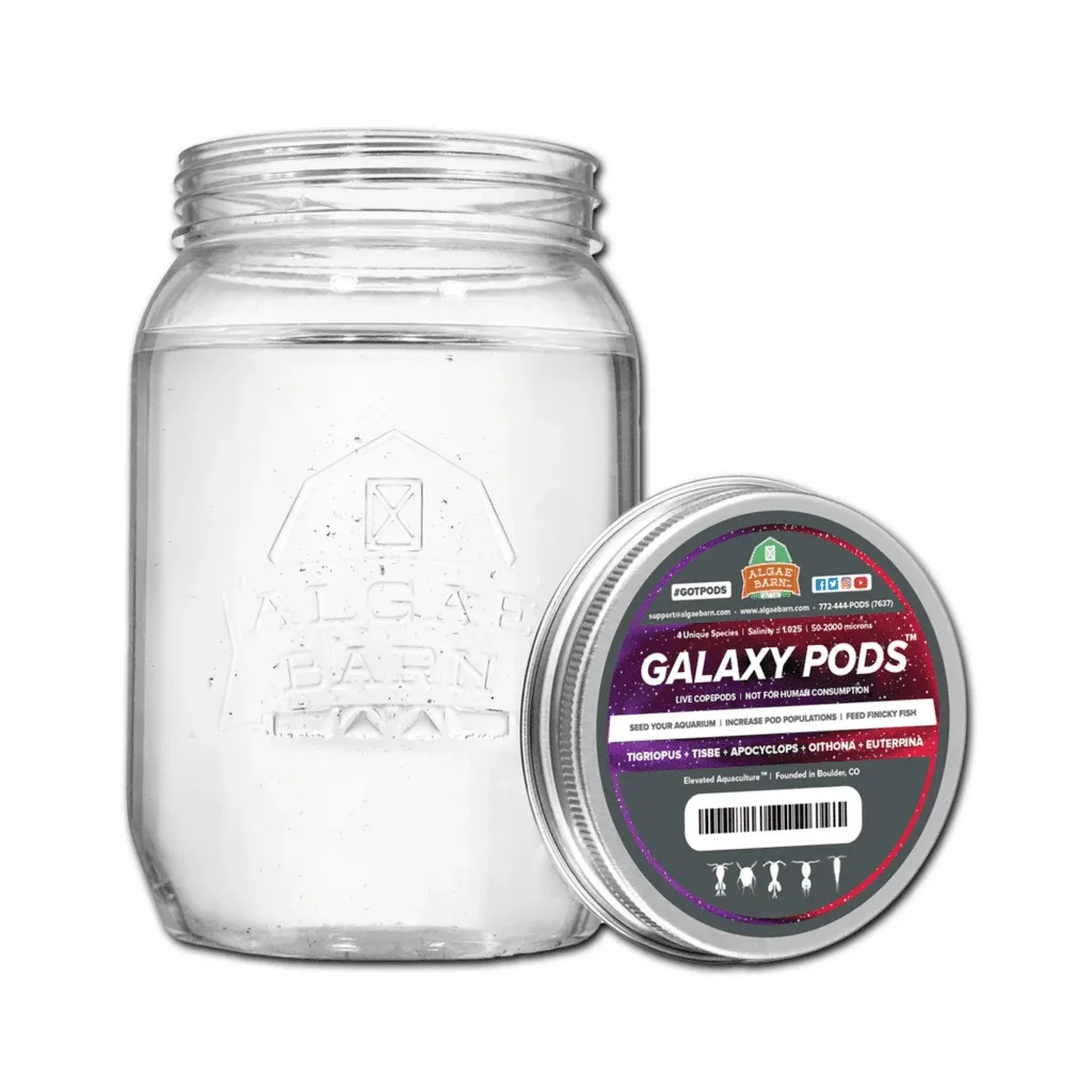Galaxy Pods - Mix of Five Copepods - Algae Barn