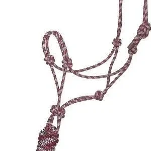 Gatsby Cowboy Rope Halter with Lead