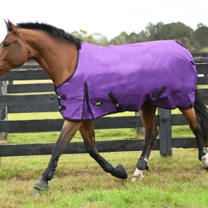 Gatsby Premium 1200D WP Turnout Blanket