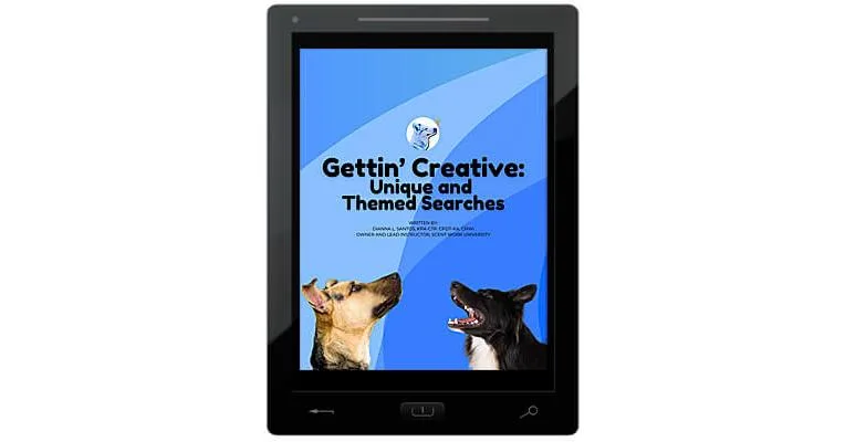 Clean Run Gettin' Creative: Unique and Themed Searches E-Book