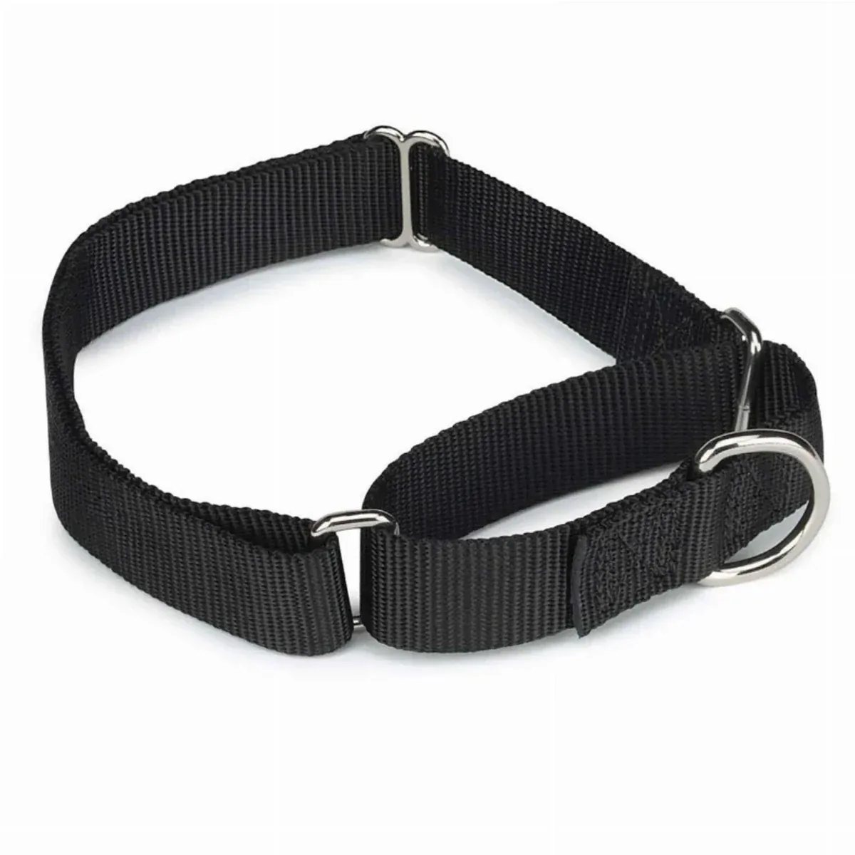 GG Nylon Martingale Dog Collar 10-16 in Black