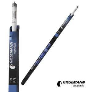 Giesemann 24" Actinic Blue T5 Bulb, 24W