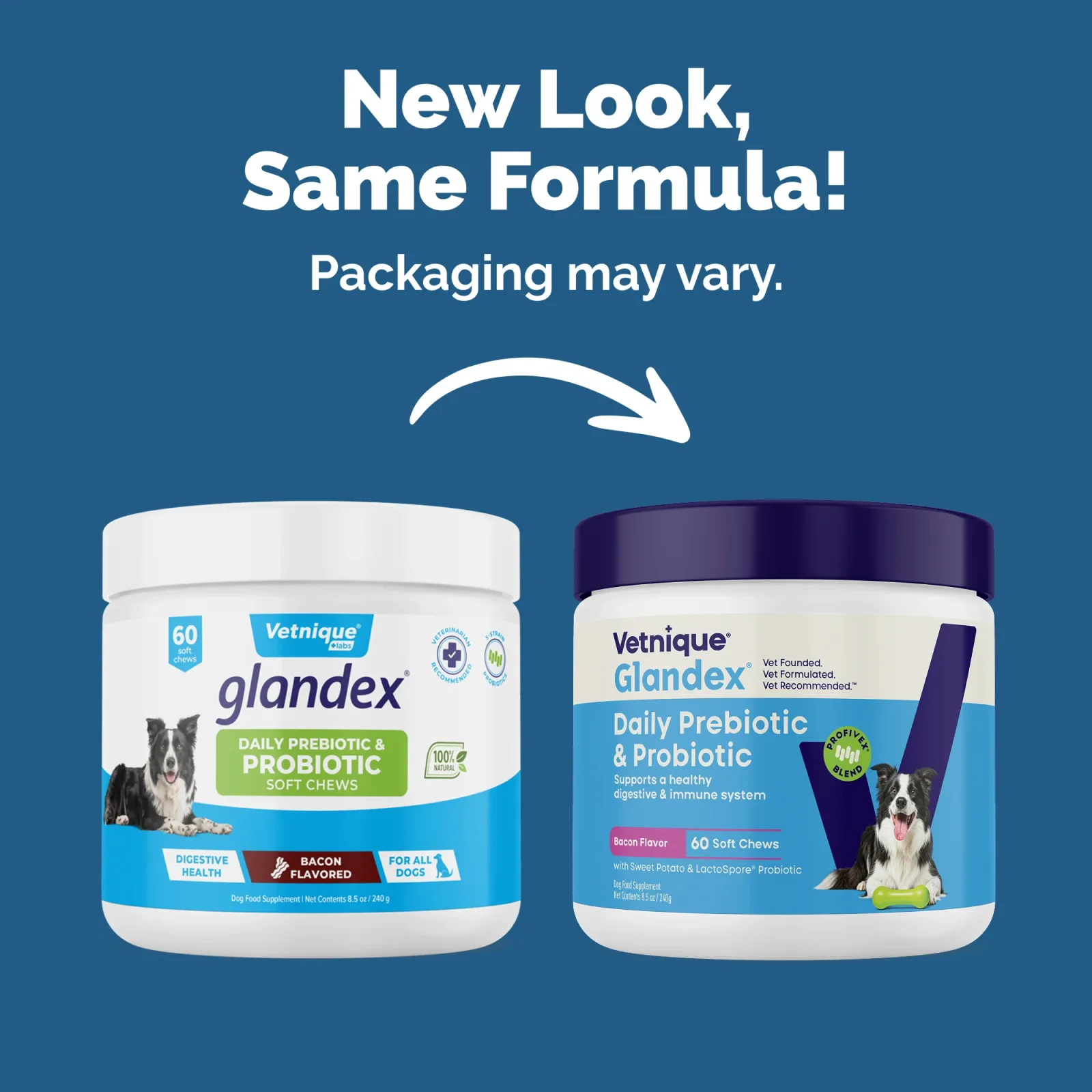 Glandex Daily Prebiotic & Probiotic Soft Chews, 60 ct - Image 2