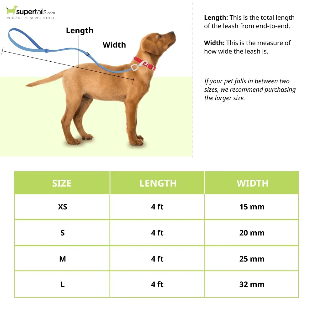 Glenand Nylon Mesh Leash for Dogs (Blue) - Image 2