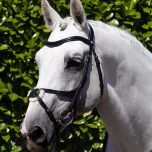 Glorioso Anatomical Grackle Bridle Black