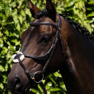 Glorioso Anatomical Grackle Bridle Brown