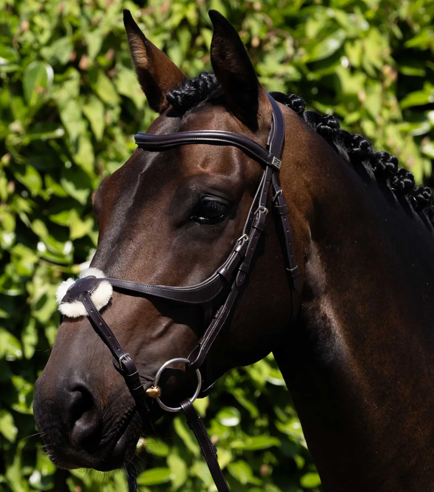 Glorioso Anatomical Grackle Bridle Brown