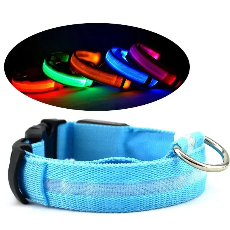 Glow Dog Collar – LED Safety Collar for Night Visibility - Image 2