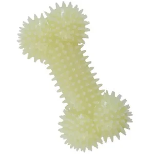Gnawsome Glow in Dark Spiky Bone Squeaker Dog Toy
