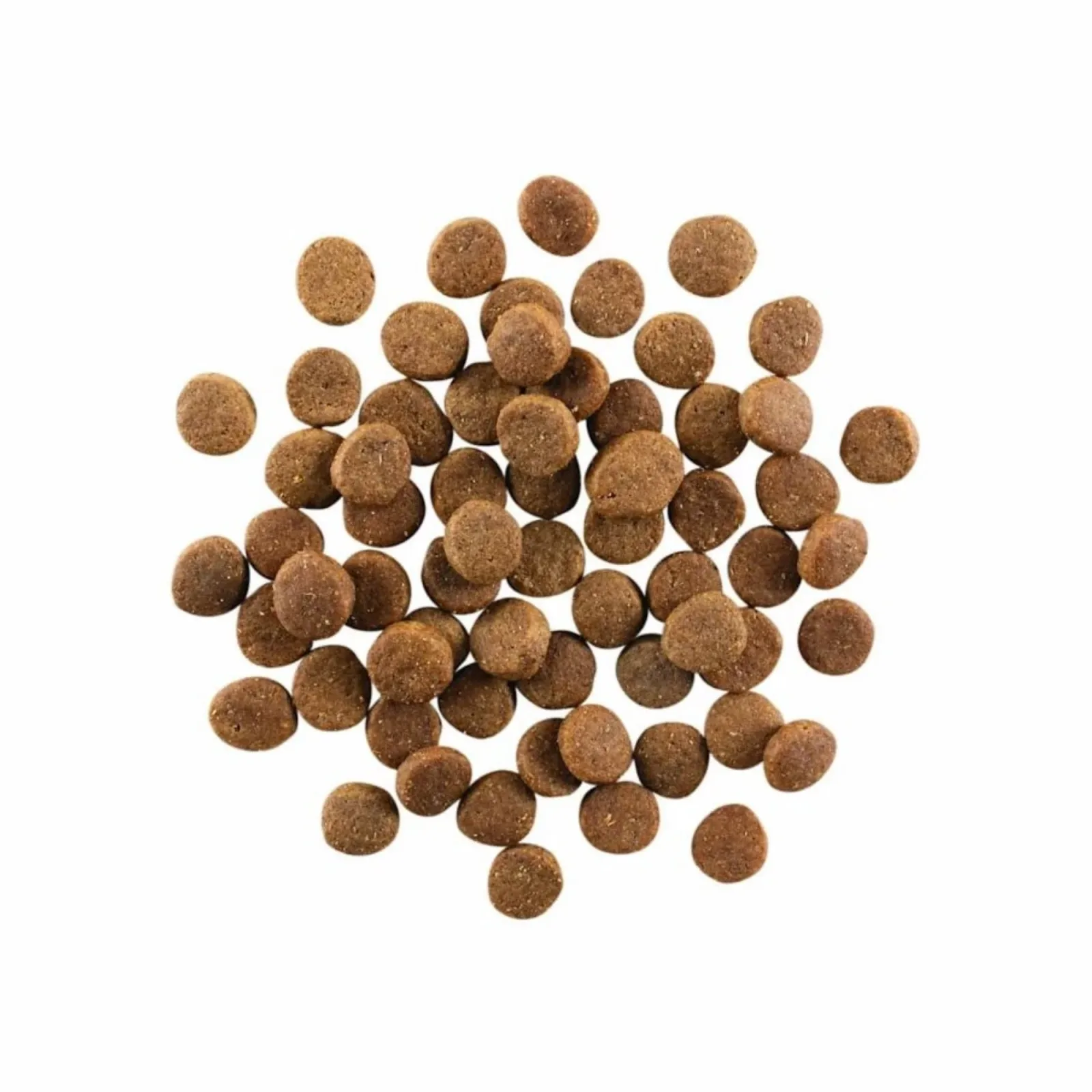 Go! Dog Carnivore Grain-Free Puppy Chicken, Turkey & Duck 22 lb - Image 2