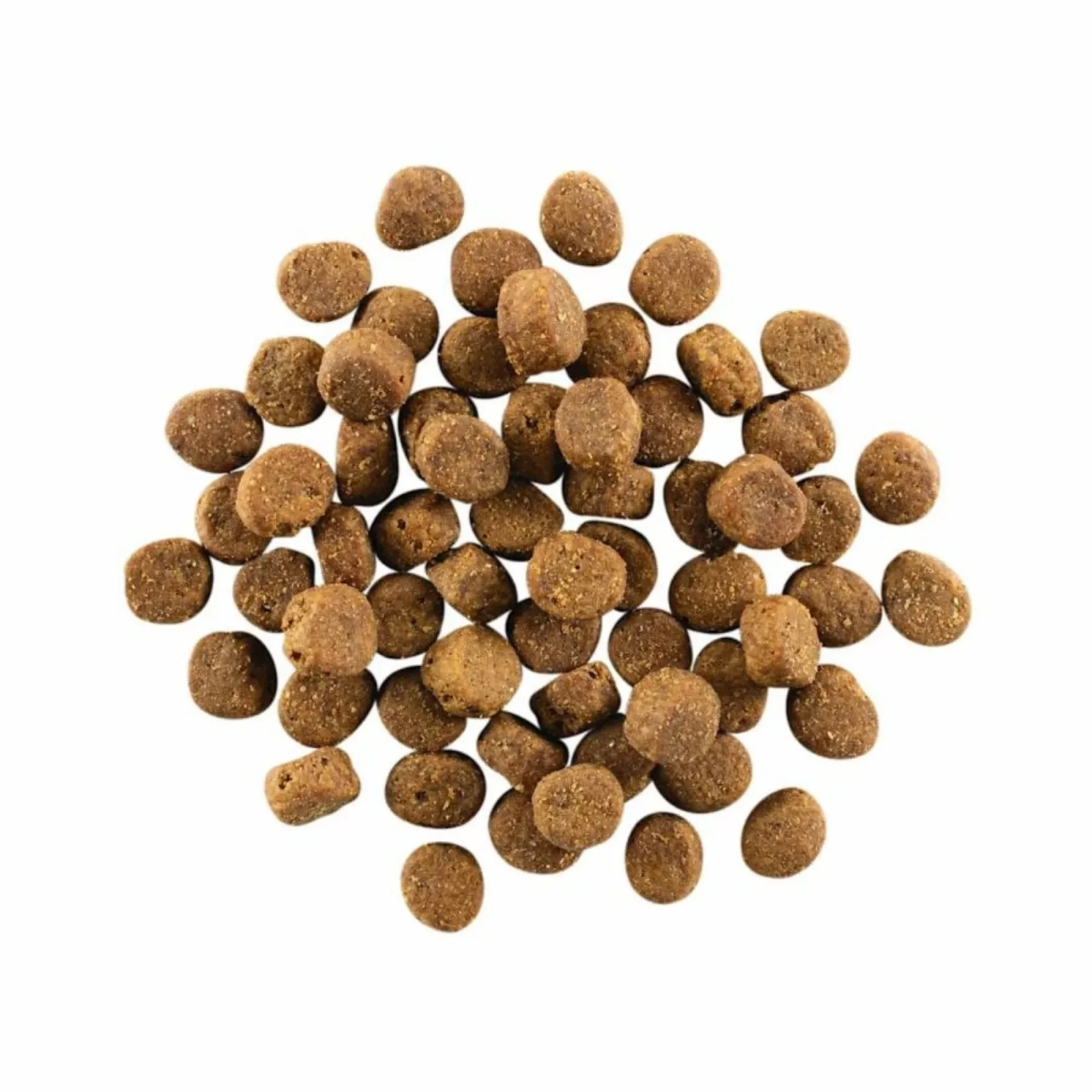 Go! Dog Carnivore Grain-Free Salmon & COD 3.5 lb - Image 2