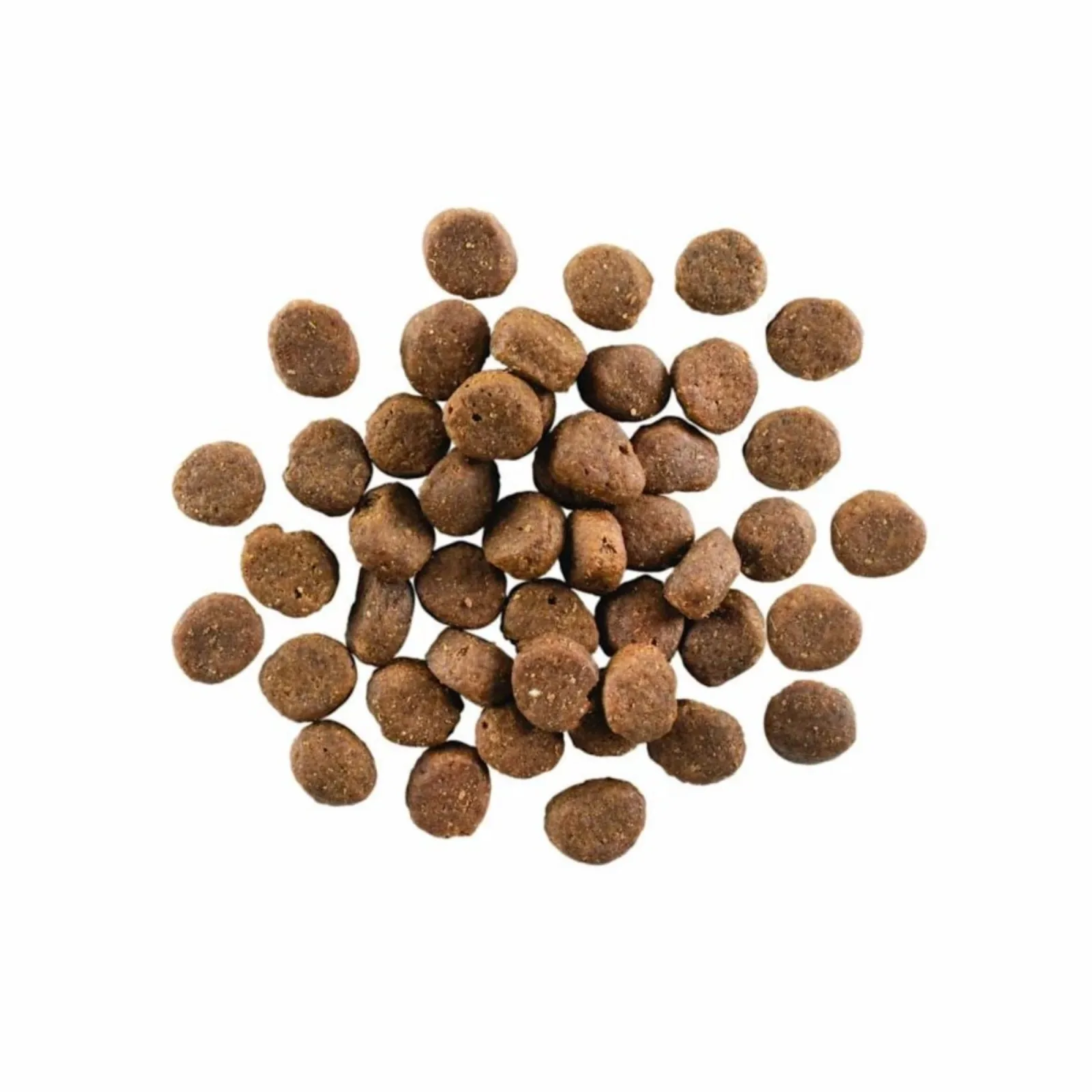 Go! Dog Carnivore Grain-Free Senior Lamb & Wild Boar 22 lb - Image 2