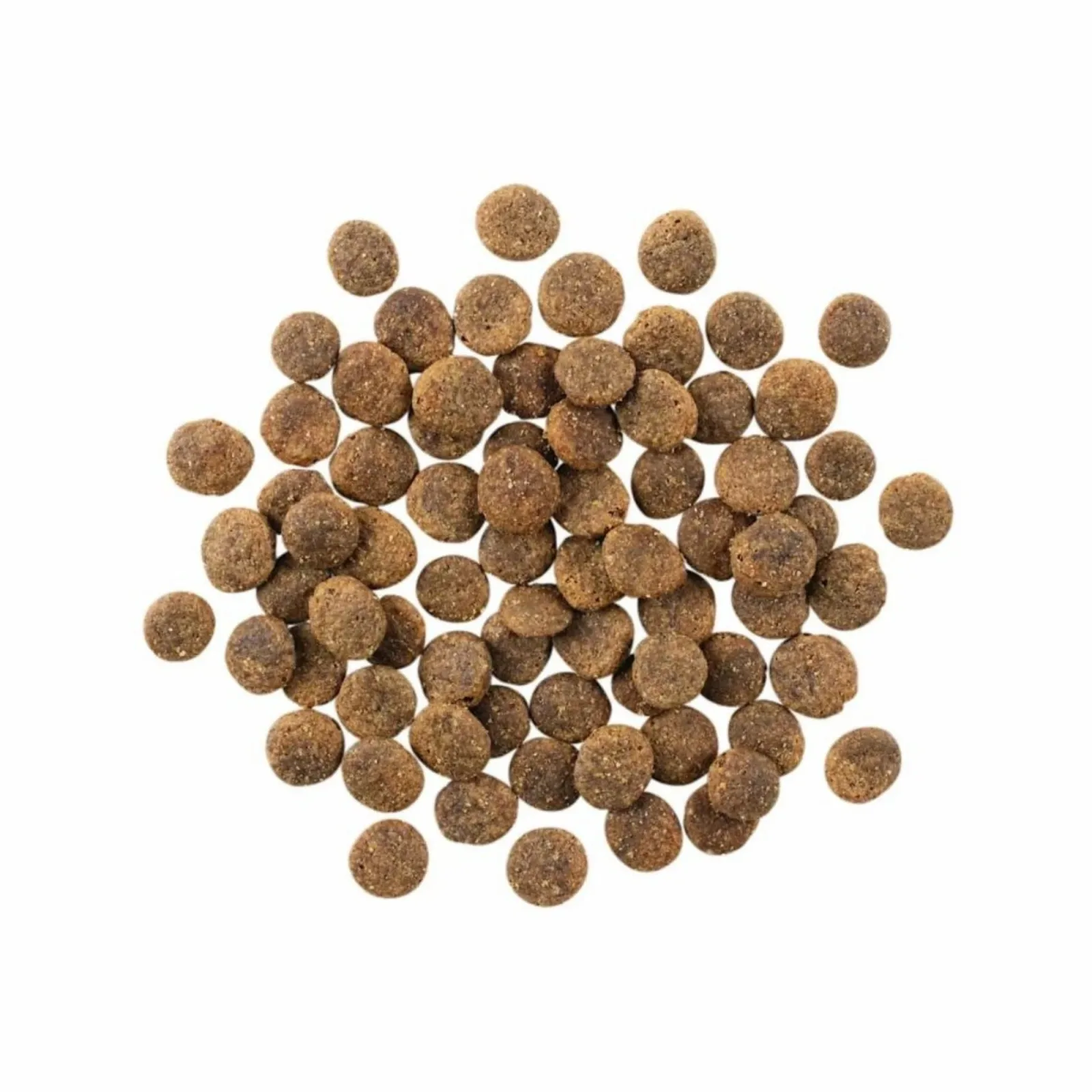 Go! Dog Sensitivities Limited Ingredient Grain-Free Lamb 22 lb - Image 2