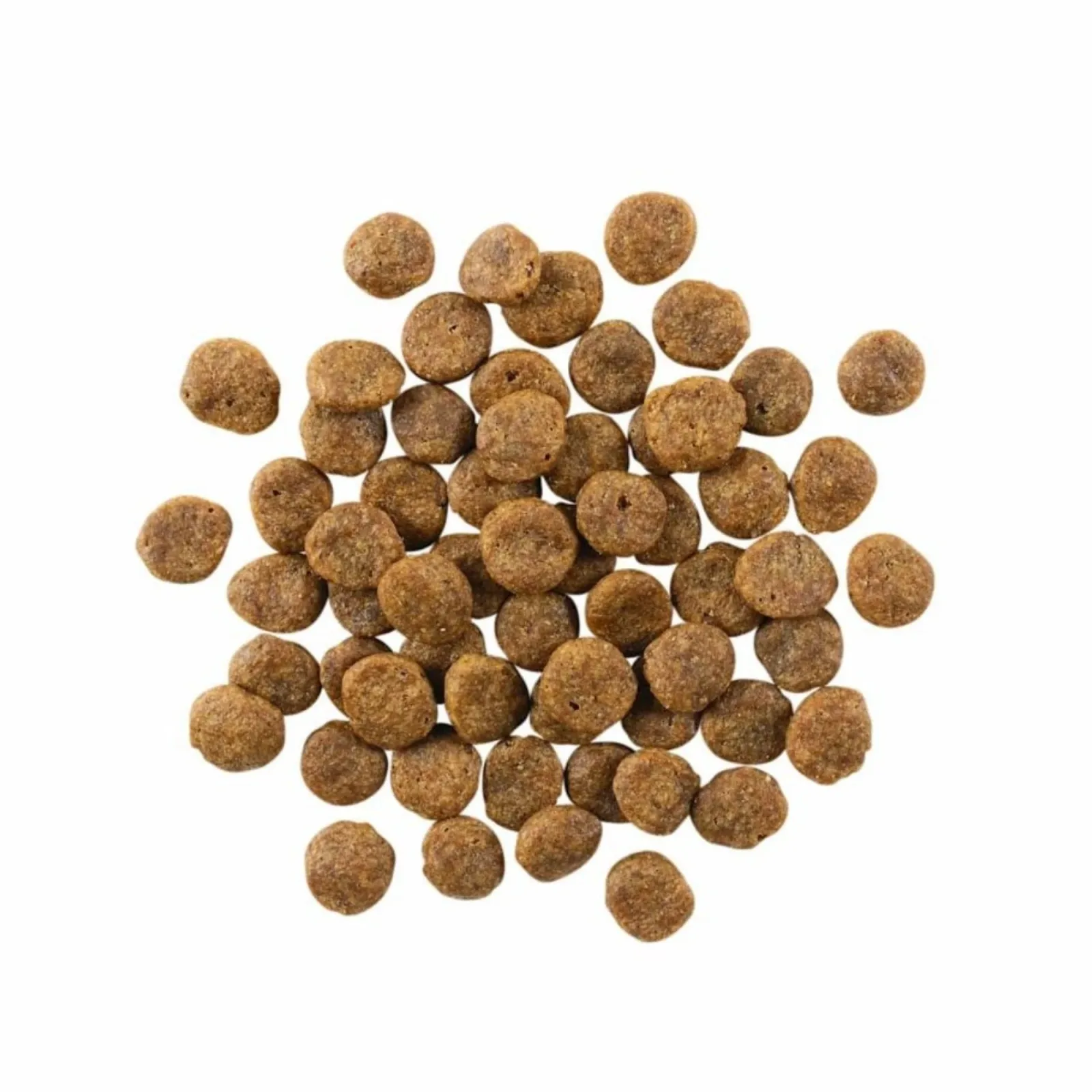 Go! Dog Sensitivities Limited Ingredient Grain-Free Salmon, 3.5 lb - Image 2