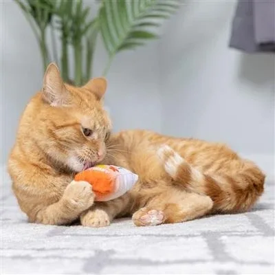 Go Fish Phishy Plush Cat Toy - Image 2