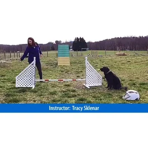 Got Remote? Get Training!