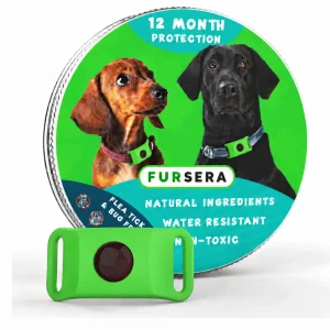 Green Collar-Mounted Pet Tag with Flexible Dual-Slot Holder & Adjustable Collar
