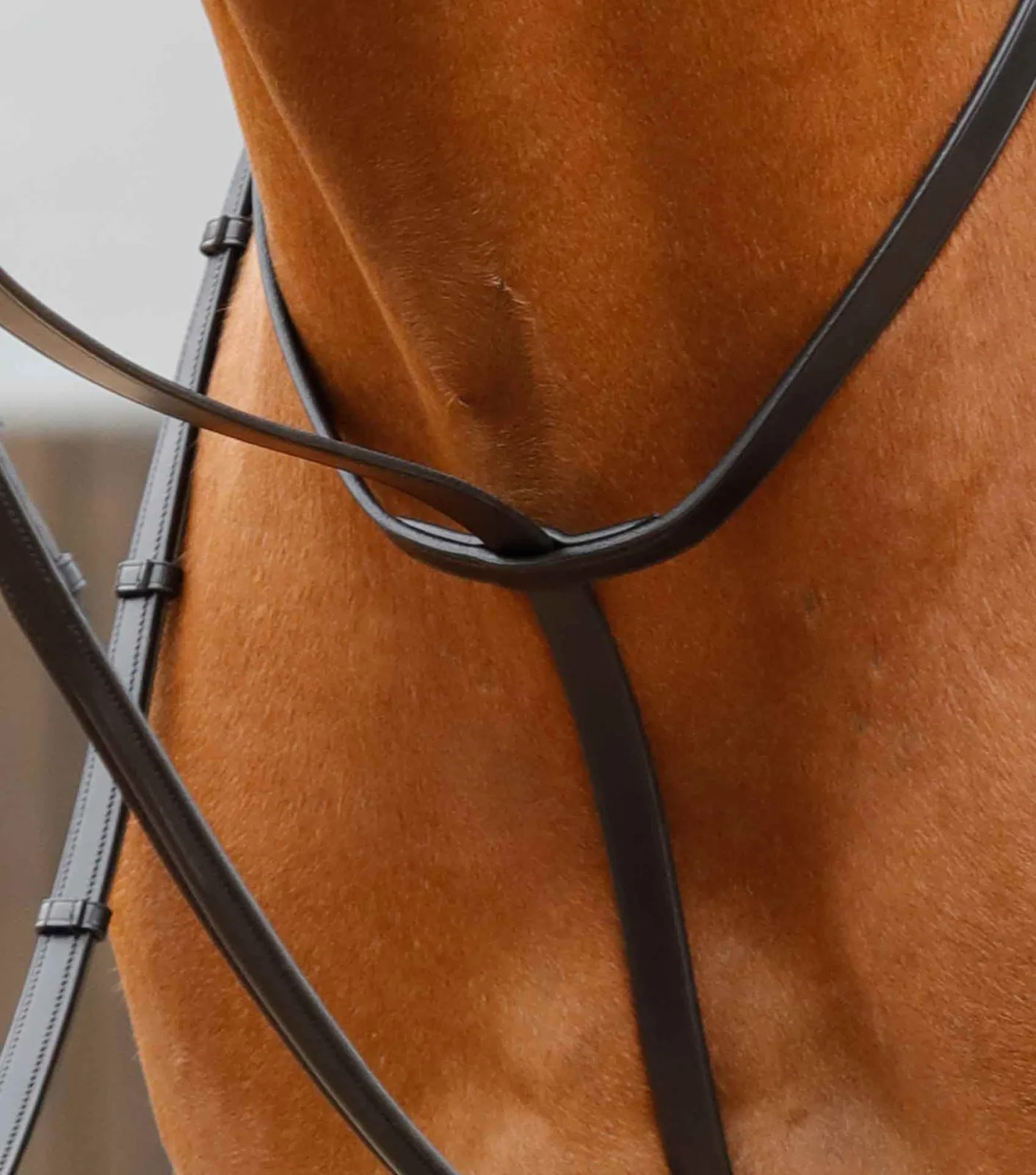 Gressan Standing Martingale Black - Image 2