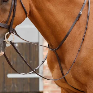 Gressan Standing Martingale Brown