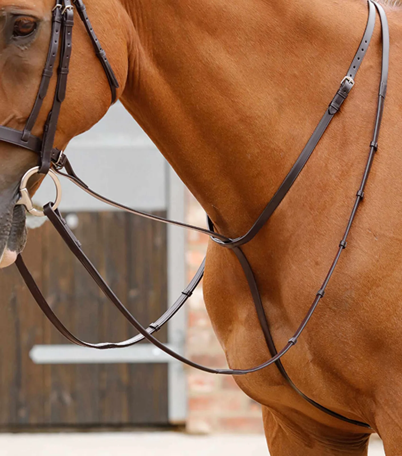 Gressan Standing Martingale Brown