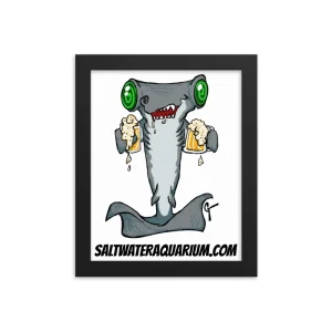 Hammerhead Getting Hammered Framed Photo Paper Poster
