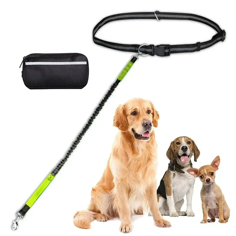 Hands-Free Leash – Bungee Dog Leash with Storage Pouch & Soft Handles - Image 2