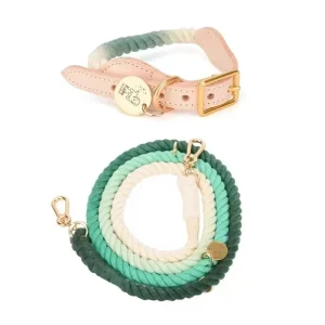 Hands-Free Rope Dog Leash and Luxe Royal Leather Dog Collar Bundle, Ombré Green