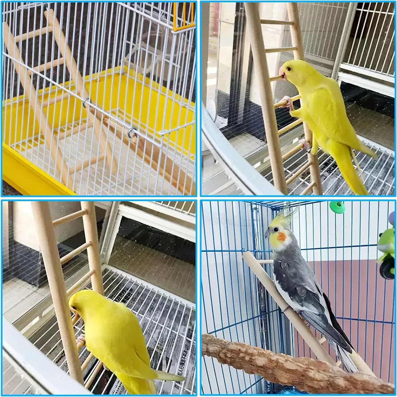 Happy Beaks 12" Small Ladder, 1/2" Diameter, by A&E Cage Co - Image 2