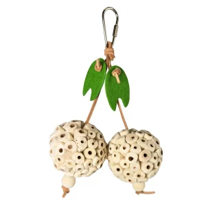 Happy Beaks Picky Pair Hanging Bird Toy, by A&E Cage Co