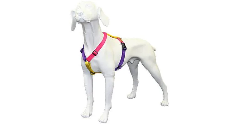 Haqihana Harness