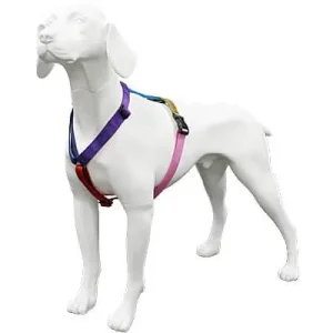 Clean Run Haqihana Harness - Northern Lights