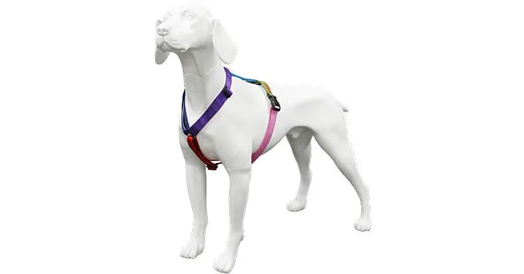 Clean Run Haqihana Harness - Northern Lights