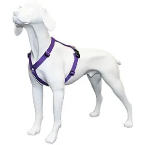 Clean Run Haqihana Harness - Solid Colors